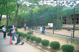 大森山動物園